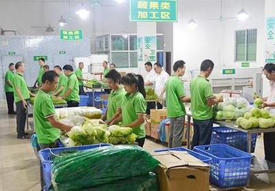 寮步蔬菜配送公司 為工廠食堂提供平價蔬菜及食用農產品配送服務