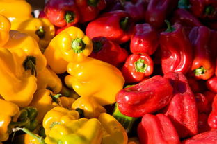 安徽食藥監(jiān)局多措并舉，扎實(shí)推進(jìn)食用農(nóng)產(chǎn)品交易市場食品安全規(guī)范化建設(shè)